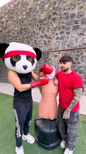MrBeast vs Panda 🥊 Who wins?