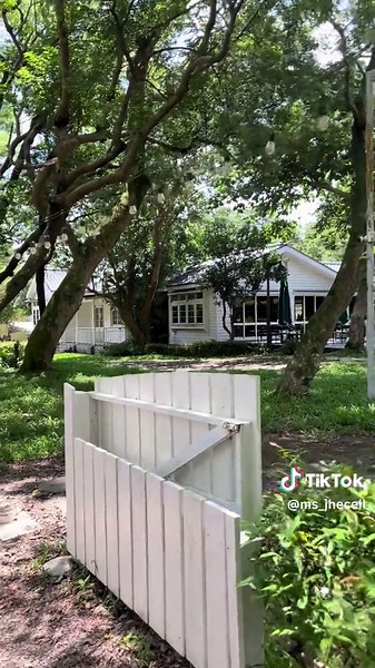 Exploring American Vibes in Taiwan