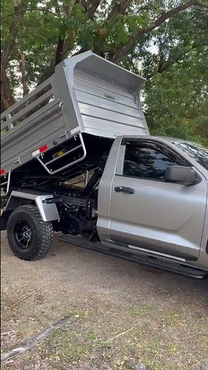 the king triton #rrsdump