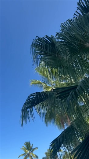 Roughing it this week | Bill Ritter