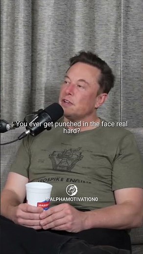 Elon Musk on being punched in the face