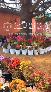 Botanical garden | Islam The Reality