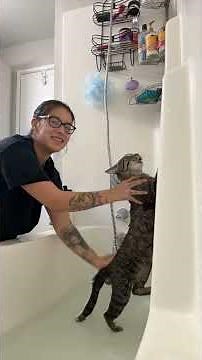 Cat Hates Taking a Bath 😂🛁🐱 | Funniest Cat Bath Reaction | Viral Shorts