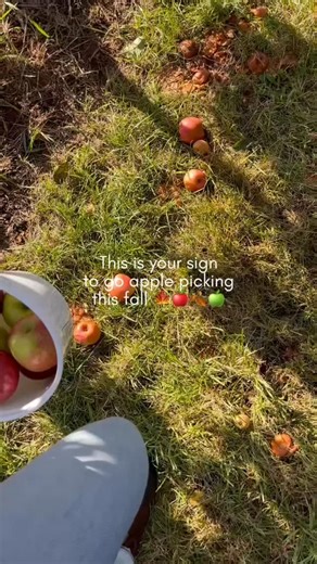 Tag someone you want to go apple picking with!  Apples you can...