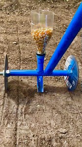 140K views · 425 reactions | DIY gadgets for plants | 5-Minute Crafts Men | Facebook