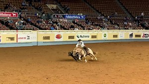 2.6K views · 136 reactions | ✨QUAHADI (BET HESA CAT— Ginnin Attraction, by Tanquery Gin) with an electric cow run in the finals of the AQHA World Show Senior Working Cow Horse!✨ • >>>Contact the 6666 Ranch office for information on breeding to this talented young stallion. 855-674-6773<<< • #6666Ranch #Quahadi #AQHAWorldShow | 6666 Ranch | Facebook