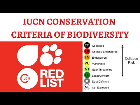 IUCN Red List of Threatened Species & Classification (Extinct, Vulnerable, Endangered etc.)