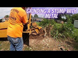 How I Stump Grind a Stump that has Metal in it