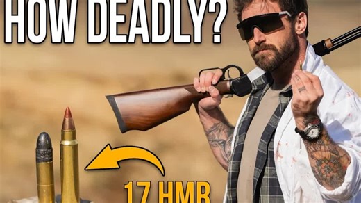 [4K].17 Hornady Magnum Rimfire到底有多致命{超小型害兽弹) | Garand Thumb