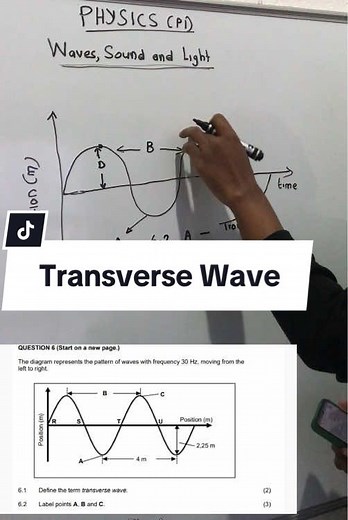 Understanding Transverse Waves in Physical Science