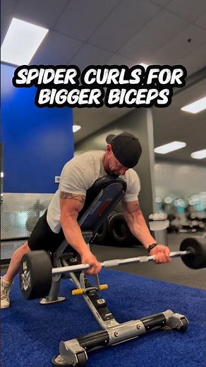 Spider Curl For Big Bicepts