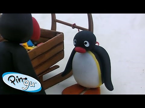 Pingu and the lost ball 🐧 | Pingu - Official Channel | Cartoons For Kids