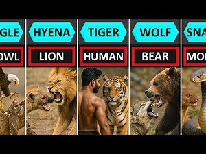 Animals and Their Worst Enemies