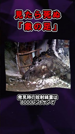 【危険】見たら死ぬ「象の足」