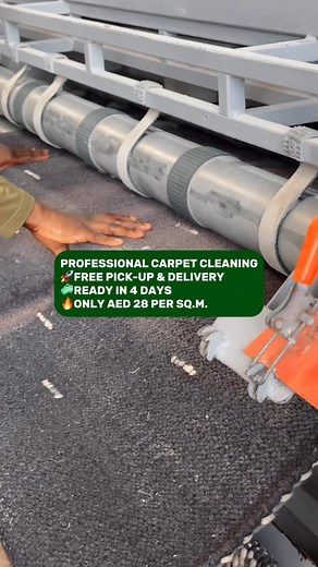 🧼Professional Carpet Cleaning | Carpet Pro