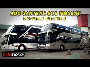 ADU GANTENG! 5 Varian Bus Tingkat Double Decker di Indonesia