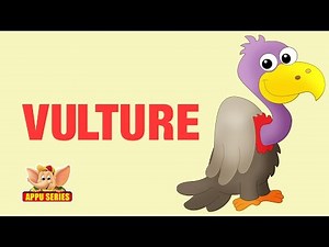 Animal Facts - Vulture