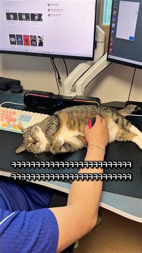My cat turned into a mouse pad
