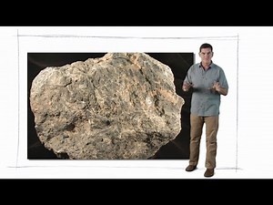 Fossils - Dinosaur Train - The Jim Henson Company