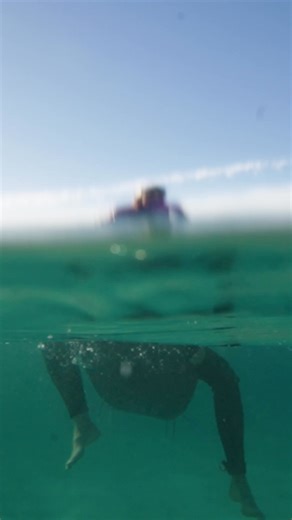 The World’s largest female participation surf festival returns to Kingscliff Beach 21st & 22nd of June. A completely free, family friendly event! | Surfing Australia | Facebook