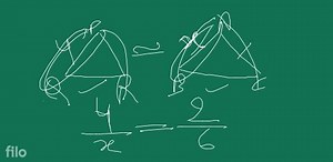 The area of two similar triangles is in the ratio 4:36. The lon... | Filo