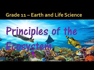 Grade 11 Earth and Life Science - Principles of the Ecosystem