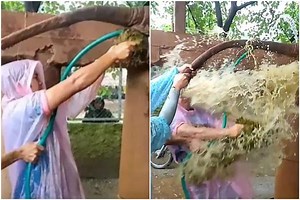 Think Your Job's Tough? This Vet's Face Got Bombed by Faeces While Treating A Constipated Elephant!