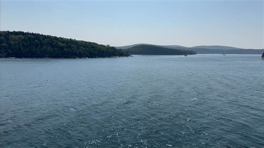 Explorer Guide on Reels