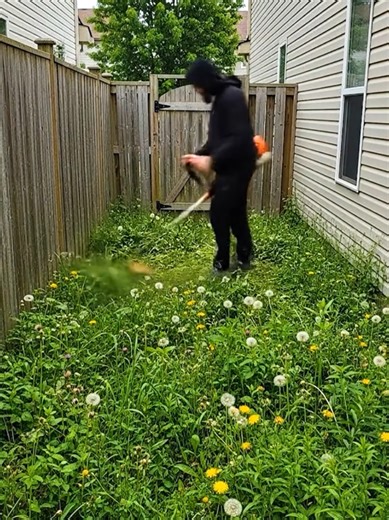 Simple Side Yard Garden Transformation