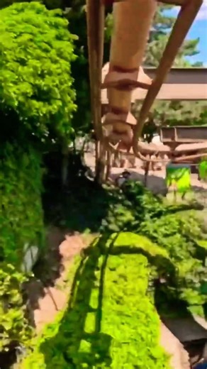 Vampire Rollercoaster at Chessington World of Adventures has Great Theming ✨ #shorts #rollercoaster