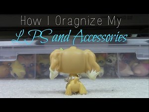 LPS: How I Organize My LPS and Accessories {READ DESCRIPTION}