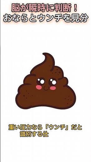 脳が瞬時に判断！おならとウンチを見分 #雑学 #豆知識 #人体の不思議 #健康 #おなら #便秘 #脳科学 #生物 #解剖学 #括約筋 #生活の知恵 #面白い動画 #教育 #科学 #ショート動画