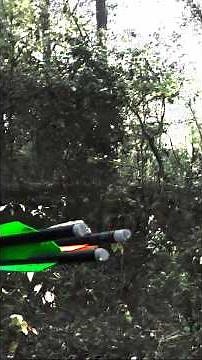 10 YARDS!!! FOUR Deer Pop Out the Thicket! #jesusislord #deerhunting #archery