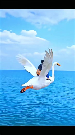 Free Swan Flying Tutorial Free Swan Flying Tutorial Swan Flying Free Tutorial AI Effect Tutorial CapCut Tutorial TikTok Trends Flying Effect ai flying effect ai flying effect filter ai flying effects photo ai flying effects trending now ai flying filter effect tutorial ai flying effect video ai flying effect for free ai flying effect on video ai flying effects photo 2025 Flying Ai Viral Effect ai aieffect aieffects #capcut #capcutpioneer #capcutforus Tutorial Gratuito de Vuelo de Cisne、Tutorial 