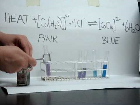 Le Chatelier CoCl2 Equilibrium Demonstration
