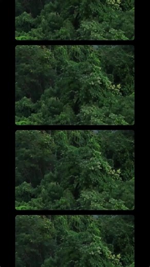 Le film Anaconda sort au cinéma aujourd'hui !