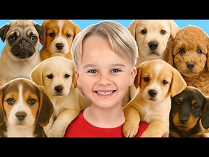Kids Take Care of Animals at the Shelter - Videos For Kids