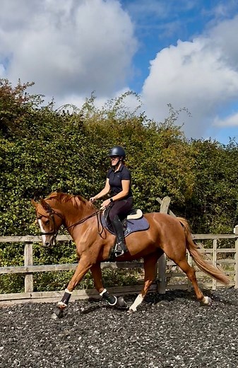 It’s amazing what a difference comfort and balance can make 😊 @eeleanorandrews The Saddle Bank | Saddle Wizards