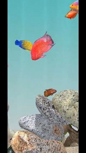 RELAXING BUBBLES SOUND IN BEAUTIFUL AQUARIUM HD