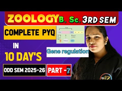 Modes of Gene Regulation in Prokaryotes | Gene Regulation in E. coli | Lac Operon Explained