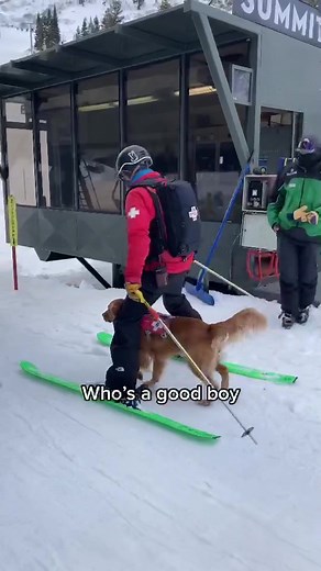 Snowboarding with Dogs at Lake Tahoe