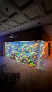 2.1K reactions · 76 shares | Wow! 朗 The 17,000 gallon reef tank from Polo Reef is something out of this world! What do you think of this aquarium?  #aquarium #fishtank #reeftank #saltwateraquarium #fblifestyle | Danny's Aquariums | Facebook