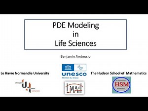 PDE modeling in life sciences. Lecture 4