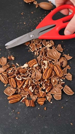 Simple tip I use to open nut shells 🎬This video was produced by Network Media and Blue-X Studio | Render Rush