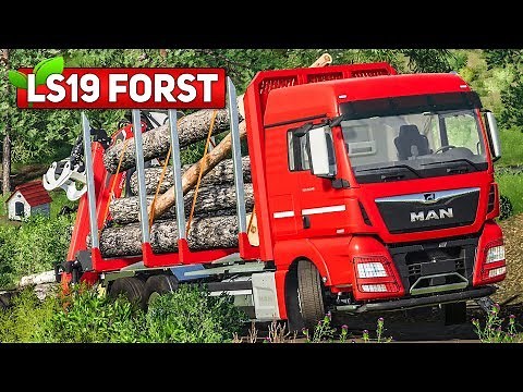 LS19 FORST #6: Festgefahren mit dem MAN Holztransporter | LANDWIRTSCHAFTS SIMULATOR 2019