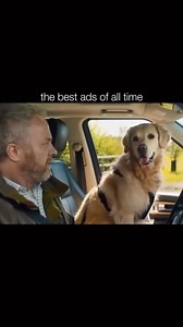 😂👓 Specsavers Adverts: A Masterclass in Comedy! 👓😂 If you haven't seen these yet, you're in for a treat! From hilarious mishaps to spectacular punchlines, Specsavers’ recent adverts never fail to crack us up. 😆 Perfect timing, spot-on humour😂 Don’t miss out on the fun – watch and laugh along with us! 🙌 #Specsavers #ClassicAdverts #ComedyGold #ShouldveGoneToSpecsavers #LaughOutLoud | UK Ambulance Humour