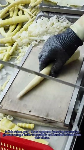 How to Cut Bamboo Shoots into Slices | Knife Skills Tutorial