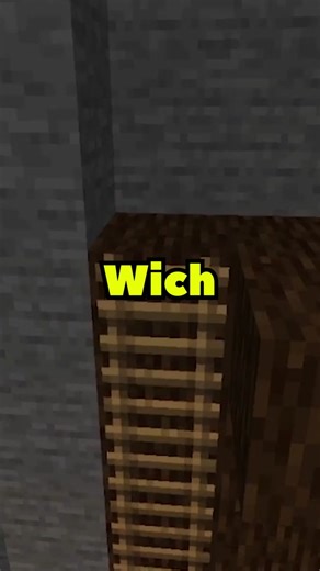 This one made me hungry 😋 #minecraft #minecraftmemes #minecrafthacks #minecrafter #friendtest