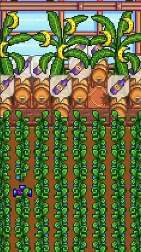 Guarenteed Millions Of Giant Crops In Stardew Valley