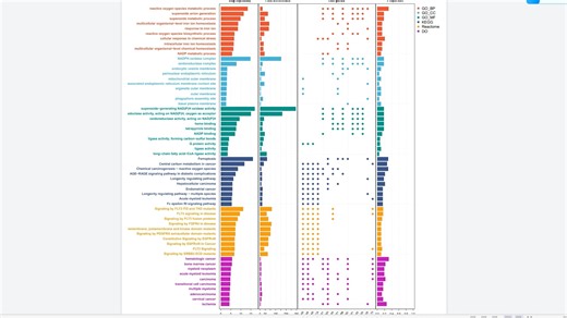 342.富集分析集合更新，KEGG Reactome DO GO(BP\CC\MF)合集